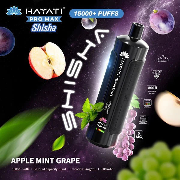 Hayati Pro Max Shisha 15000 Puffs Box of 10